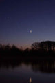 Twilight Wall Decal
