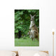 Kangaroo and Company Wall Mural