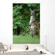 Kangaroo and Company Wall Mural