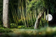 Abstract Landscape Wall Decal
