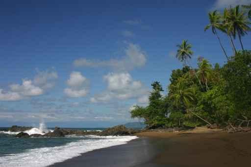 From Corcovado Plage Wall Decal