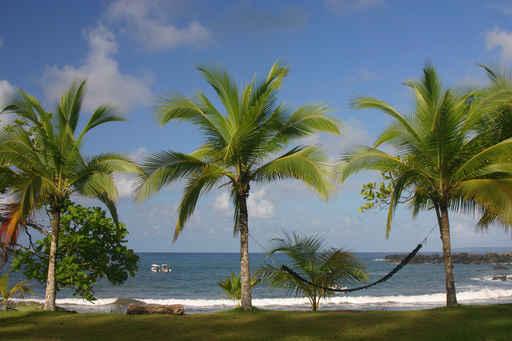 Hammock Beach Wall Decal Design 1
