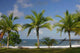Hammock Beach Wall Decal Design 1