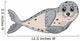 Cute seal cartoon
 Wall Decal