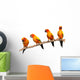 Four Perched Parrots Wall Decal