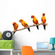 Four Perched Parrots Wall Decal