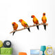 Four Perched Parrots Wall Decal