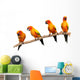 Four Perched Parrots Wall Decal