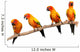 Four Perched Parrots Wall Decal