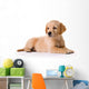 Puppy Wall Decal