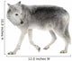 Mackenzie Valley Wolf (8 years)  - Canis lupus occidentalis Wall Decal