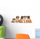Five German Boxer puppies on white Wall Decal