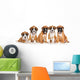 Five German Boxer puppies on white Wall Decal