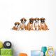 Five German Boxer puppies on white Wall Decal