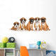 Five German Boxer puppies on white Wall Decal