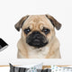 Pug 3 Years Wall Decal