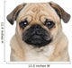 Pug 3 Years Wall Decal