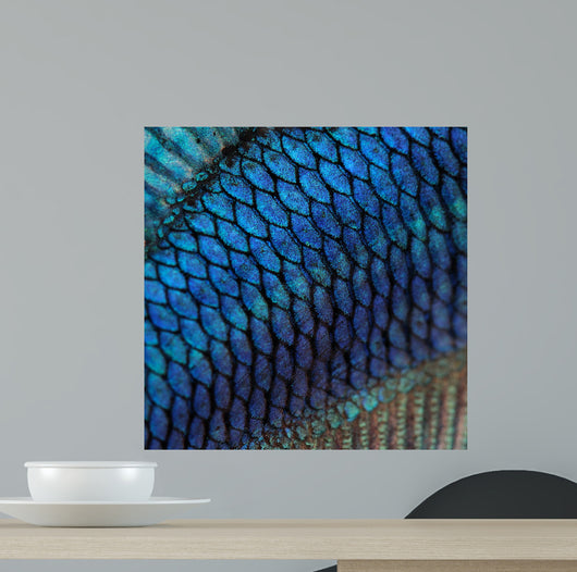 Fish Skin Wall Mural