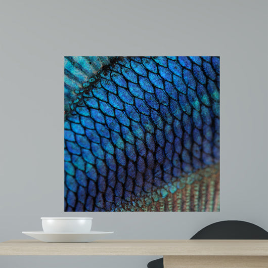 Fish Skin Wall Mural