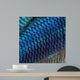 Fish Skin Wall Mural