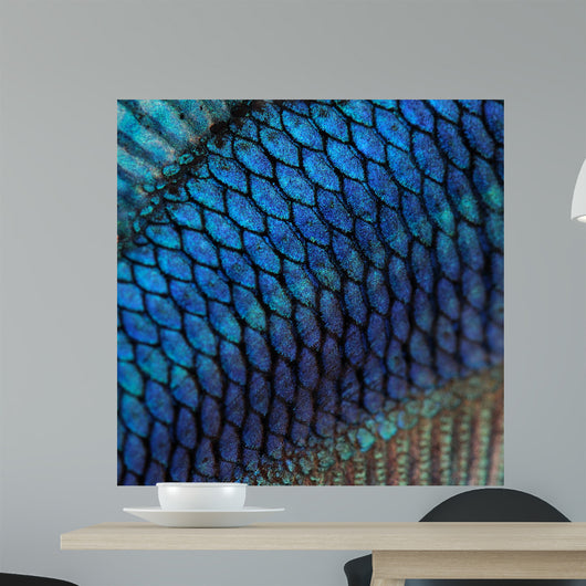Fish Skin Wall Mural