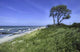 Beach Ahrenshoop Wall Decal