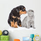 Rottweiler puppy sniffing scottish kitten. Isolated on white bac Wall Decal