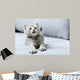 Beautiful little cat on a grey sofa Wall Mural