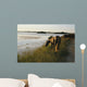 wild chinacoteague ponies Wall Mural