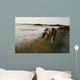 wild chinacoteague ponies Wall Mural