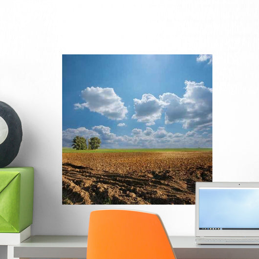 Field Wall Decal