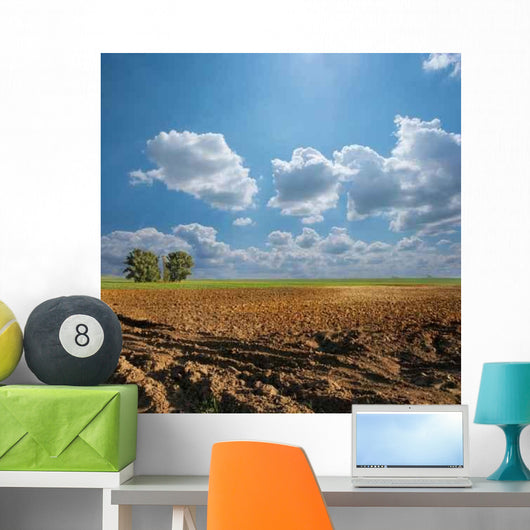 Field Wall Decal