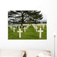 Crosses at American Cemetery in Normandy Wall Mural