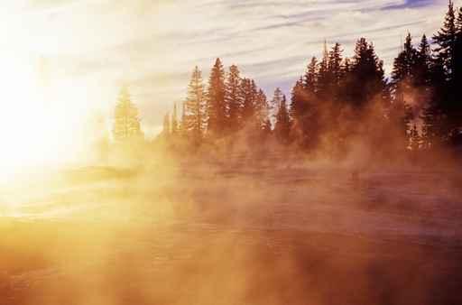 Foggy Morning Wall Decal Design 1