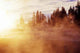 Foggy Morning Wall Decal Design 1