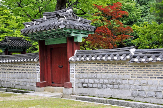 Changdeokgung Palace in South Korea Wall Mural