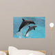 Dolphins Jumping Wall Mural