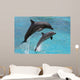 Dolphins Jumping Wall Mural