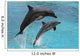 Dolphins Jumping Wall Mural