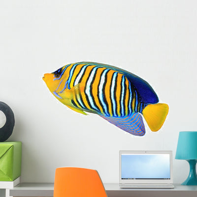 Tropical Regal Angelfish Fish Wall Decal shown on a wall