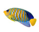 Tropical Regal Angelfish Fish Wall Decal