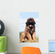 Imposing Leonberger on Blue Sky Wall Mural