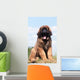 Imposing Leonberger on Blue Sky Wall Mural