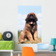 Imposing Leonberger on Blue Sky Wall Mural