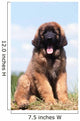 Imposing Leonberger on Blue Sky Wall Mural