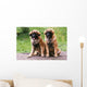 Brothers Leonberg in the Countryside Wall Mural