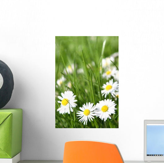 Small Daisy Wall Decal