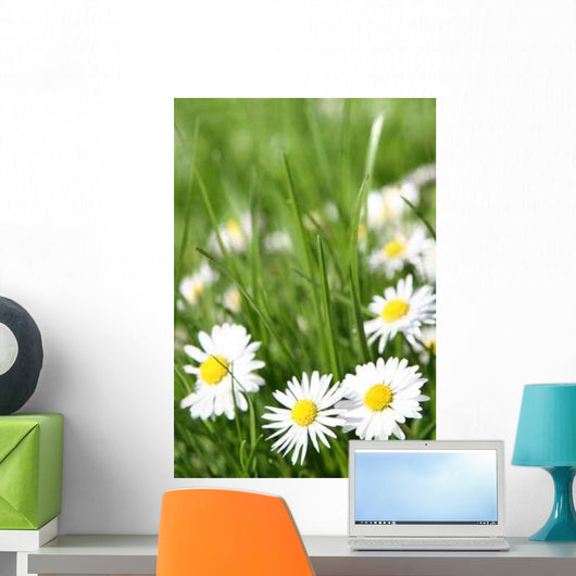 Small Daisy Wall Decal