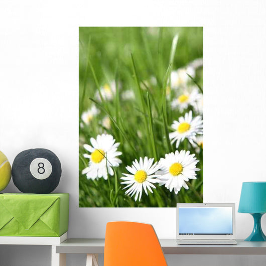 Small Daisy Wall Decal