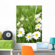 Small Daisy Wall Decal